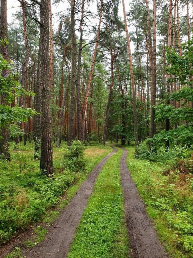 Chata Roudna Klenovice  Eksteriør billede